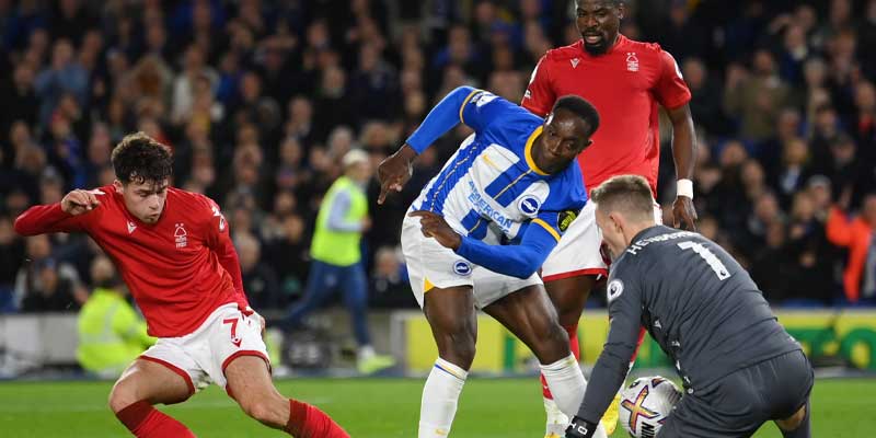 Nhận định bóng đá Brighton vs Nottm Forest hôm nay