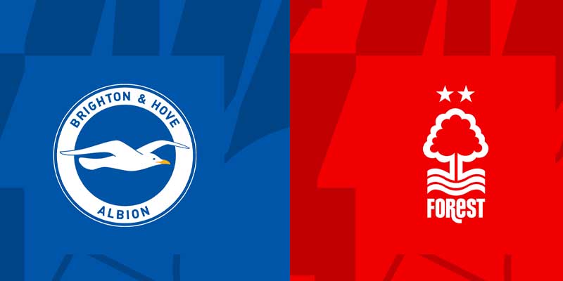 Thông tin Brighton vs Nottm Forest trước trận