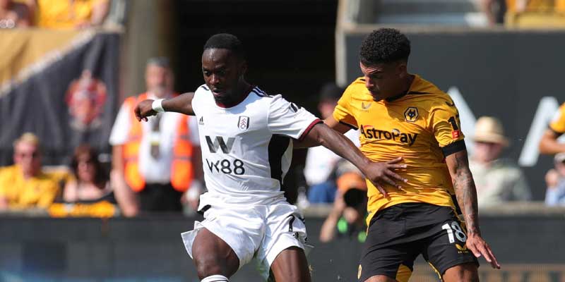 Nhận định bóng đá Wolves vs Fulham hôm nay